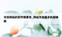 攻击网站的软件哪里有_网站攻击器手机版破解