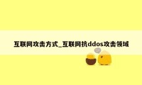 互联网攻击方式_互联网抗ddos攻击领域