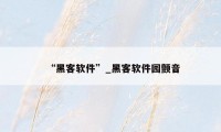 “黑客软件”_黑客软件园颤音