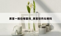 黑客一般在哪里找_黑客软件从哪找