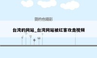 台湾的网站_台湾网站被红客攻击视频