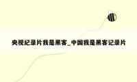 央视纪录片我是黑客_中国我是黑客记录片
