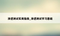 渗透测试实用指南_渗透测试学习基础