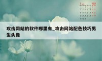 攻击网站的软件哪里有_攻击网站配色技巧男生头像